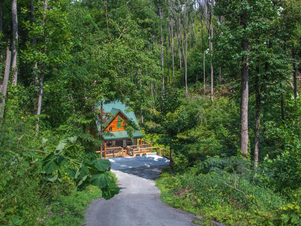 Bearly Hidden Villa Gatlinburg Exterior photo