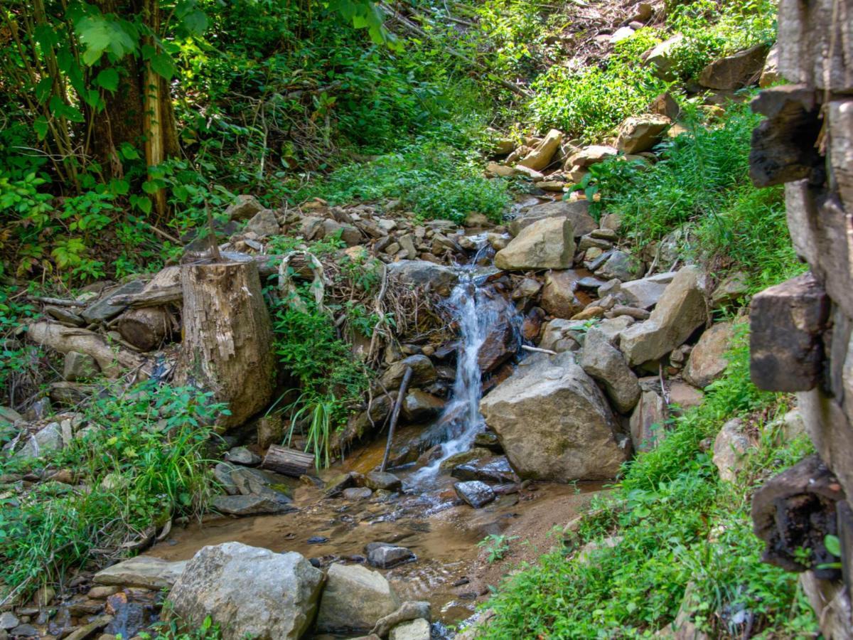 Bearly Hidden Villa Gatlinburg Exterior photo